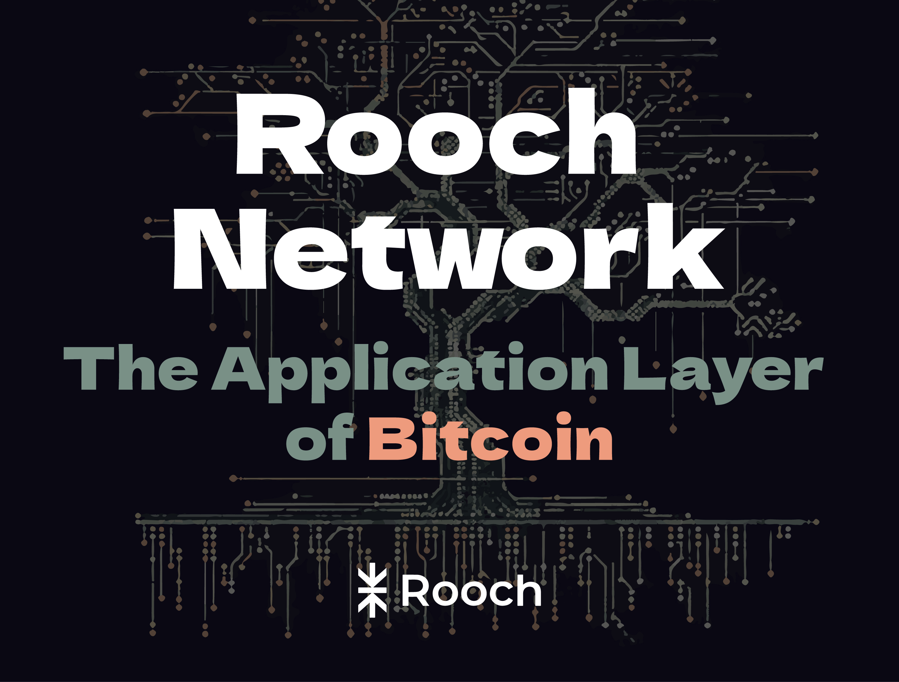 Rooch Network - The Application Layer of Bitcoin